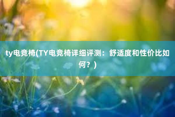 ty电竞椅(TY电竞椅详细评测：舒适度和性价比如何？)