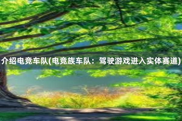 介绍电竞车队(电竞族车队：驾驶游戏进入实体赛道)