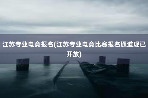 江苏专业电竞报名(江苏专业电竞比赛报名通道现已开放)