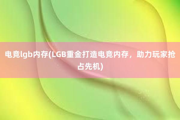 电竞lgb内存(LGB重金打造电竞内存，助力玩家抢占先机)