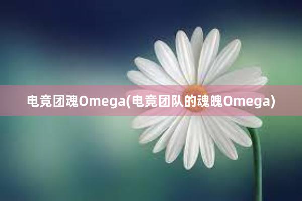 电竞团魂Omega(电竞团队的魂魄Omega)