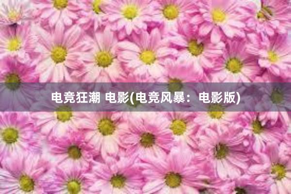 电竞狂潮 电影(电竞风暴：电影版)