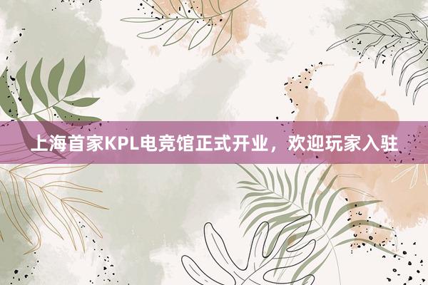 上海首家KPL电竞馆正式开业，欢迎玩家入驻