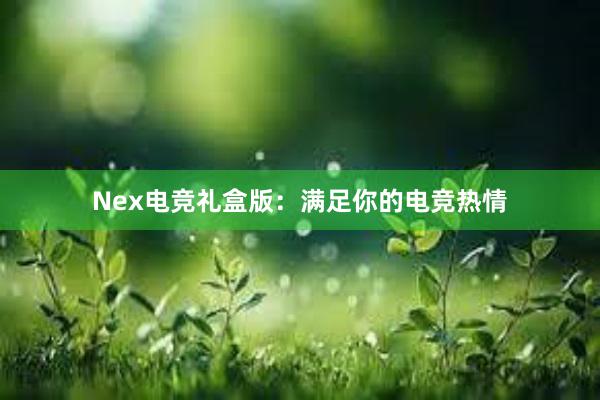 Nex电竞礼盒版：满足你的电竞热情