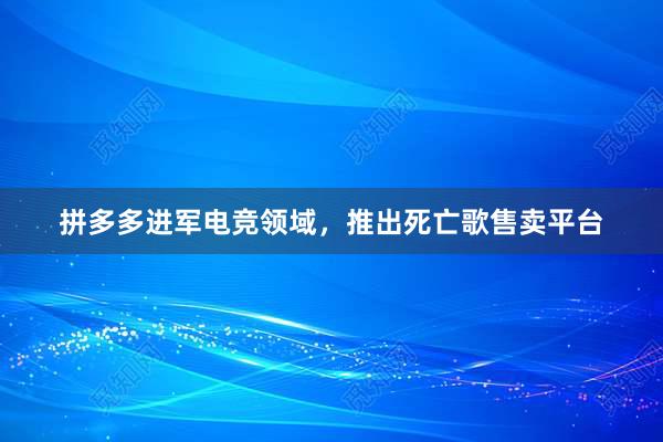 拼多多进军电竞领域，推出死亡歌售卖平台