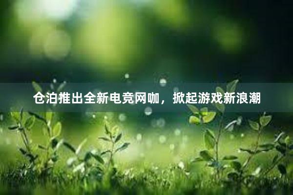 仓泊推出全新电竞网咖，掀起游戏新浪潮