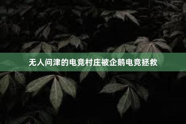 无人问津的电竞村庄被企鹅电竞拯救