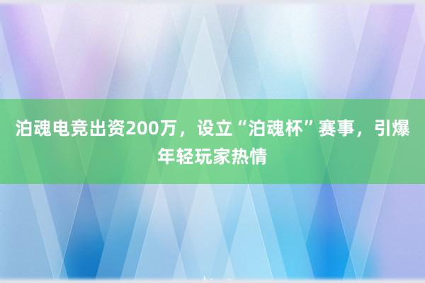 泊魂电竞出资200万，设立“泊魂杯”赛事，引爆年轻玩家热情