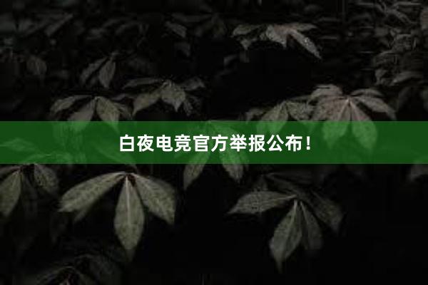 白夜电竞官方举报公布！